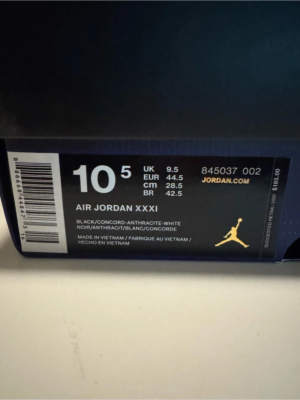 Nike Air Jordan XXXI 31 ‘Space Jam’